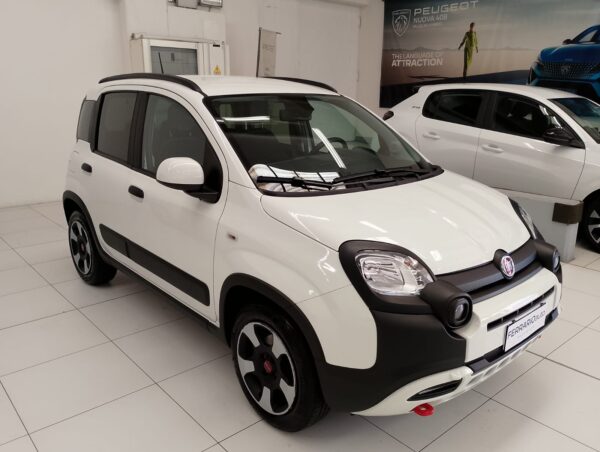 FIAT PANDA - immagine 2