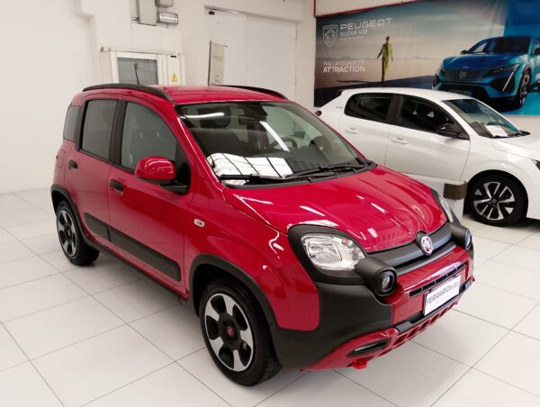 FIAT PANDA - immagine 2